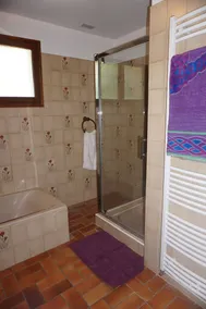 Freistehendes Ferienhaus ohne direkten Nachbarn auf gepflegtem Grundstück - Image 4