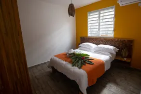 T3 Alamanda - Super gîte with pool view - Image 5