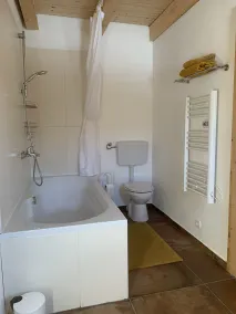 Vacation home in green Styria - Image 2