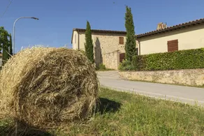 Il Greggio: 3 ettari, piscina riscaldata, camere climatizzate, paese a due passi - Image 2