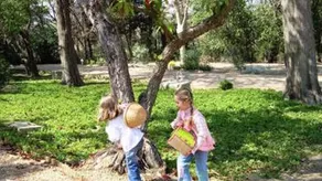 A 20 mn de la mer, dans un parc arboré, LA NORIA maison climatisée, 4 étoiles. - Image 3
