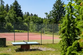 Chalet 'Chalet Les Moraines 8' mit Bergblick, Gemeinschaftspool und Privat-Terrasse - Image 3