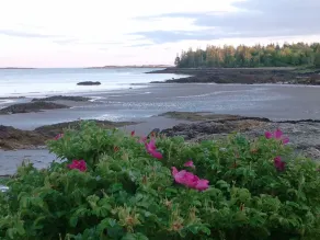 Historic Oceanfront Maine Village Year-Round Retreat, Gameroom + Water Access - Image 3