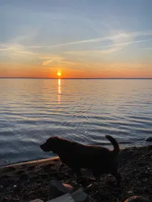 Søen / Lake Champlain - Image 2