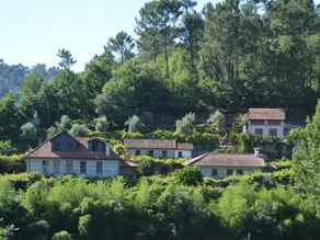 Orange Tree Cottage (2 bedrooms, sleeps 4) - Image 5