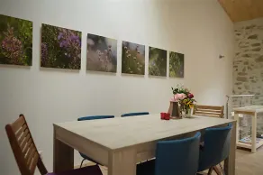 Cottage -rustic and modern in Cathar country - Image 2