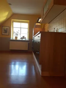 Vacanze con un cane nella Frisia del nord - Image 3
