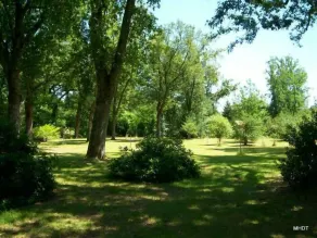 Maison Landaise En Pleine Nature - Image 5