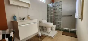 Serene Private Peaceful Retreat with Lake Access Mountain View in Cidra - Image 2