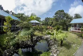 Hamakua Eco-Lodge Retreat Center in einem abgelegenen Naturschutzwald - Image 3