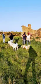 Monte da Figueira - Case per le vacanze - Image 2