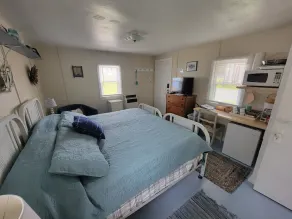 LAKE BREEZE (EAGLE HARBOUR): Gå til Lake Superior - Kabel-WIFI (herunder et minikøkken) - Image 5