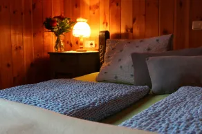 Forstauer's sommerhus på Mühlbach - Image 3