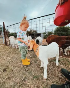 M'walimu 4 BR w/ Pool, Farm Stay- Flower Farm, Goats, Pigs, Disc Golf! - Image 4