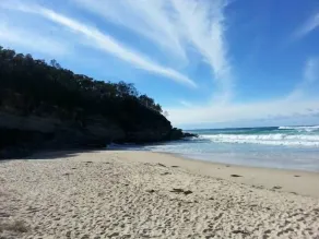 NARRAWALLEE HOLIDAY HOUSE - Image 4