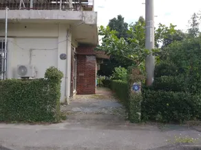 yambaruB  / Kunigami-gun Okinawa - Image 4