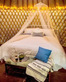Yurt logi @ Yorkie Acres Farm - Image 5