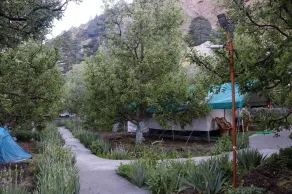 Apple Orchard Farm and Camping - Image 2
