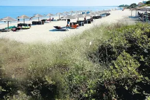 Lägenhet i Moriani-Plage med terrass - Image 3