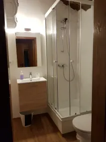 Apartment Near Romerbad Thermal Spa - Image 4
