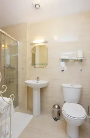 Elegant and spacious apartment in Dublin - Image 2
