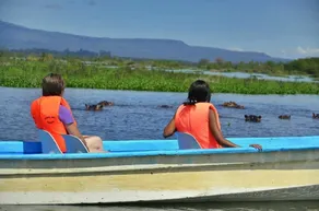 Lake Naivasha Crescent Camp - Image 2