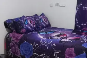 Lovely 2 Bedroom House in St Thomas Jamaica - Image 3