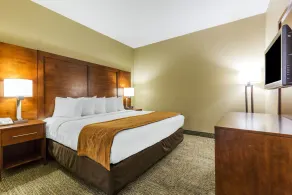 Comfort Suites, Lansing - Located 30-minute to Chicago Midway Int'l Airport - Image 3
