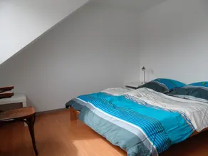 Appartement lumineux et spacieux près de Heidelberg et Mannheim - Image 4