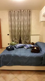 familiar pet-friendly - Image 5