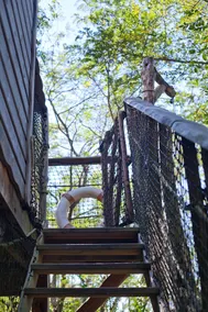 Fiskernes Hut: charmerende hytte i træerne med SPA i Loire - Image 5