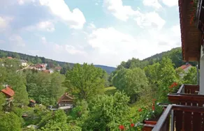 Double room without balcony 05 - Gasthaus Zum Pälterwald - Image 3