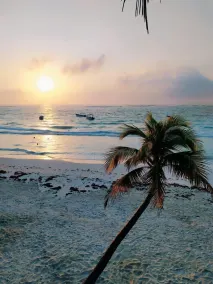 Hacienda El Paraiso Tulum - Image 4