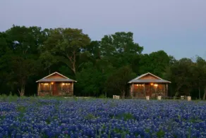 The Cabins at Angel Springs - Butterfly - Image 5