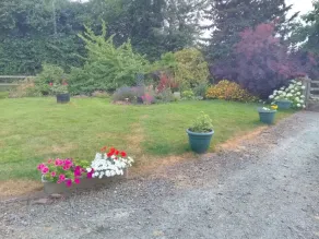 Pet friendly peace in Herefordshire - Image 5