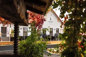 Biohofgut LASCHALT Premium Apartments im Südburgenland mit Bio Frühstück - Image 5