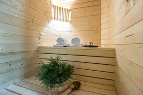 Chalet Dorf Wagrain Alpenleben by AlpenTravel - Image 2