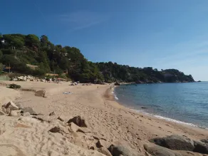 Eizelhaus omgiven av tallar, några minuter från stranden, hundar välkomna - Image 5
