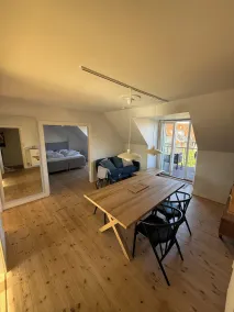 PENTHOUSE APARTMENT - Image 5