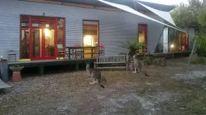 Zinc House - Unique lakeside relaxation - Image 4