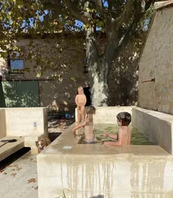 Maison dans propriété au milieu des vignes en Drôme provençale - Image 2