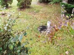 6 personer fritidhus i Oksbøl - Image 5