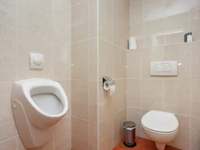 Majestic, Large Holiday Home near Leende Located Between Meadows & Forests - Image 4