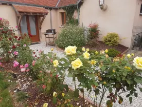 Au vieux chêne - Image 5