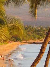 En Hawaiian Classic: \"Live Aloha Suite\" - Image 2