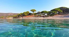 Villa Giulia - 4/5 pers. Shared heated swimming pool, in the middle of the Corsican maquis - Image 2