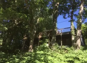 Creekside Getaway in The Trees - Image 5