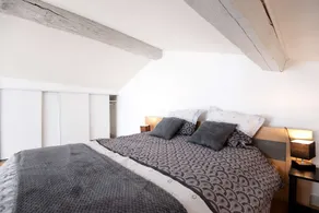 Spacious and charming flat at the gateway to Lyon and the Dombes - Image 3