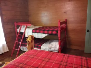 Cozy rural cabin near Texas A&M University - Image 4