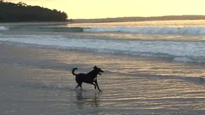 Pet-Friendly | 200m to Beach | Sleeps Large Groups | Beach Views | Air Con - Image 2